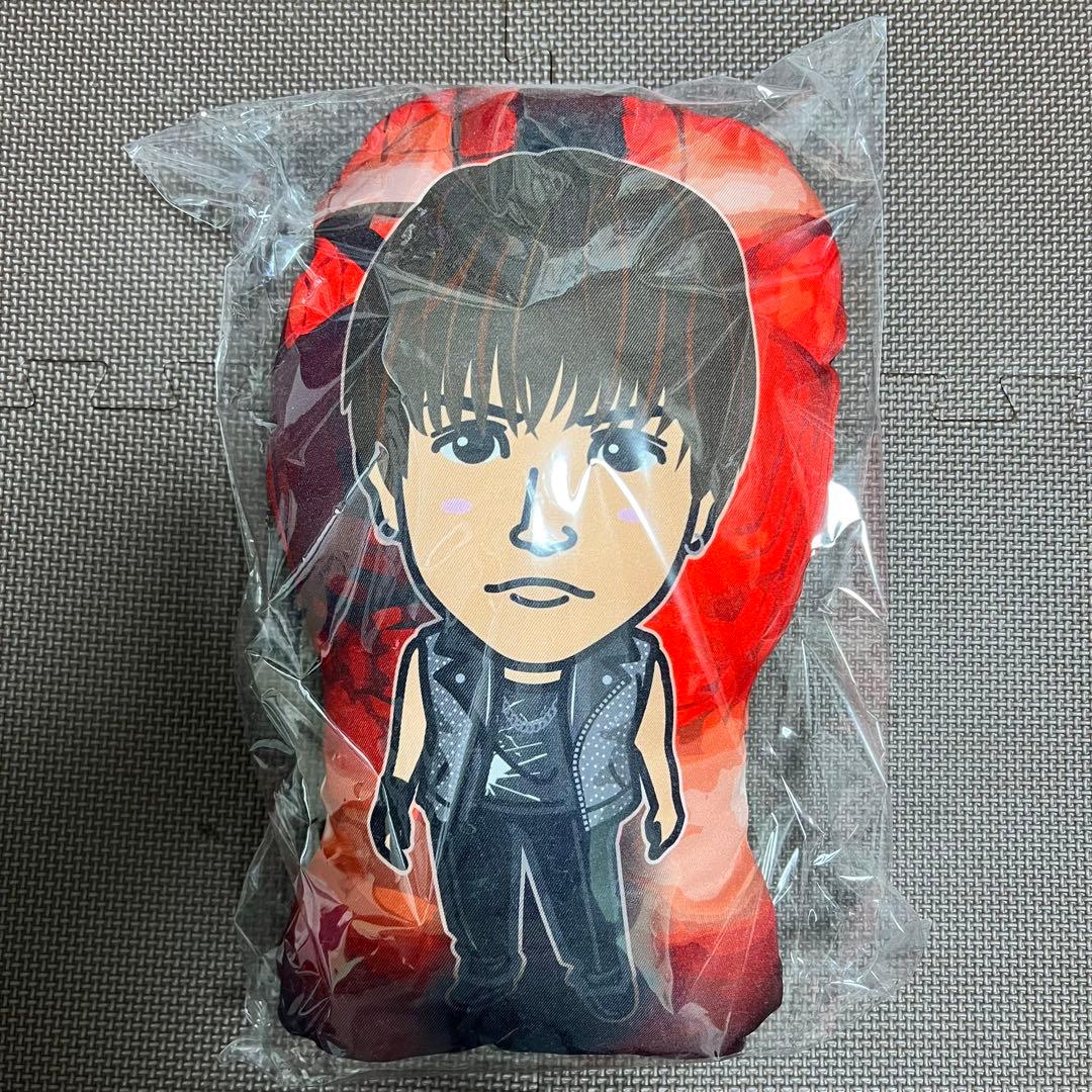 岩田剛典【HIGHER GROUND】クッション