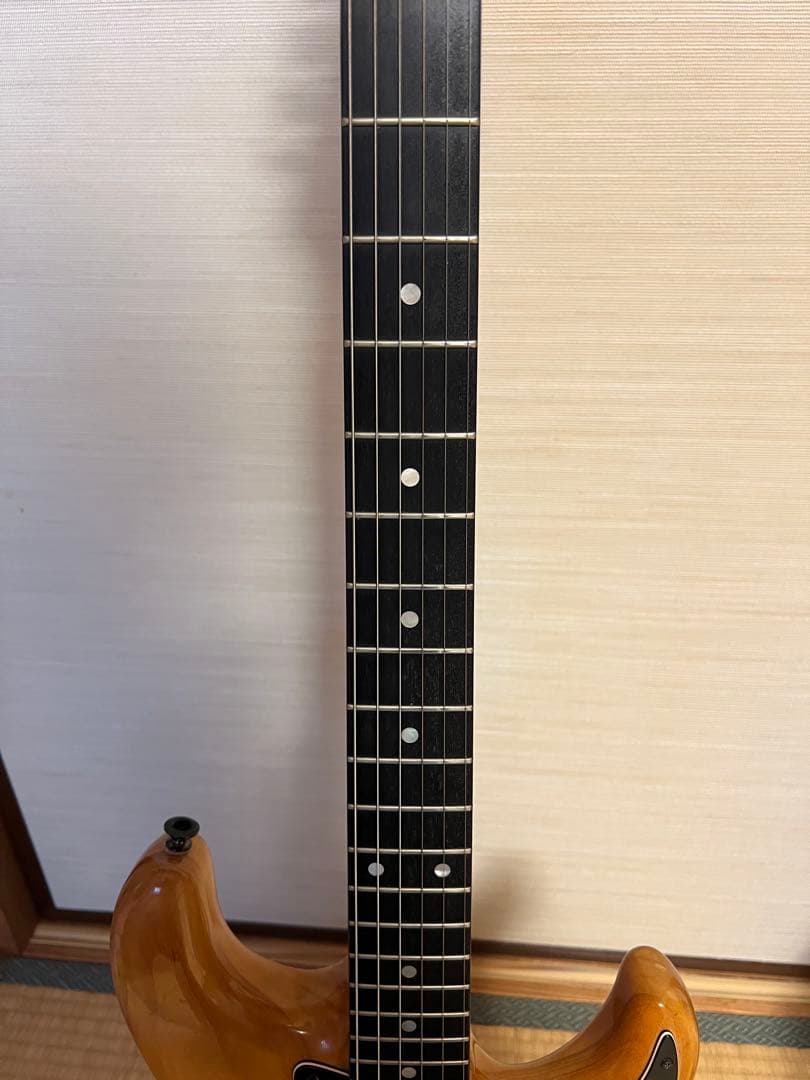 Valley Arts M Series ナチュラルカラー HSH