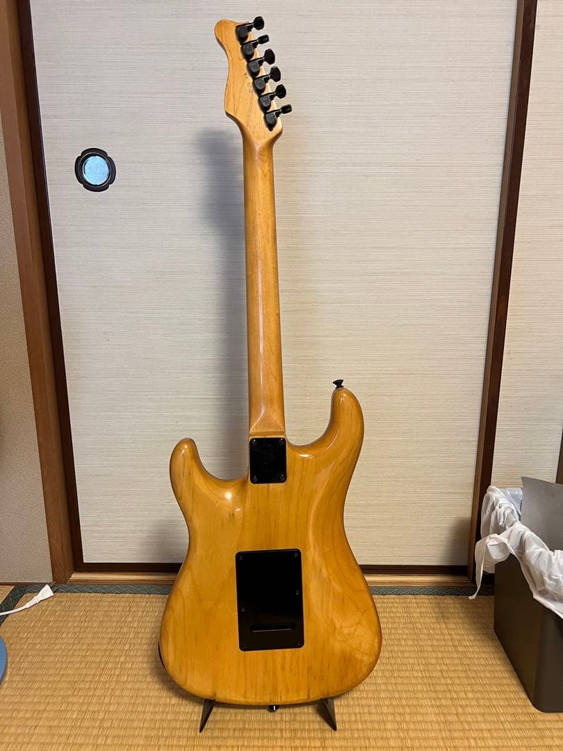 Valley Arts M Series ナチュラルカラー HSH