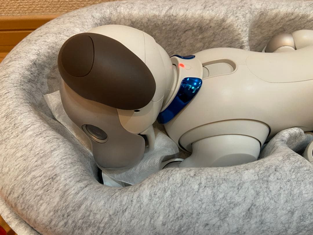 AIBO SONY ERS-1000 美品　完動犬　SONY健康診断にて治療済み