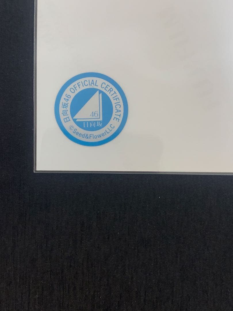 日向坂 坂井新奈　五期生お披露目制服　直筆サイン