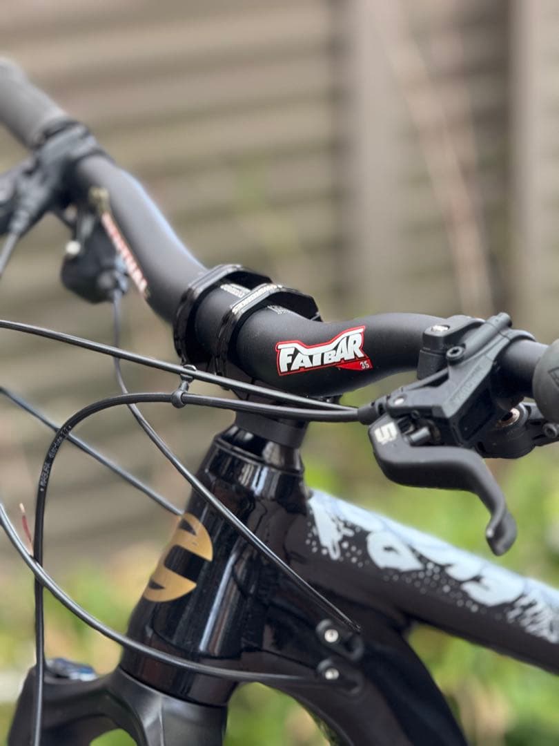 メンテナンス Cannondale habit medium 29