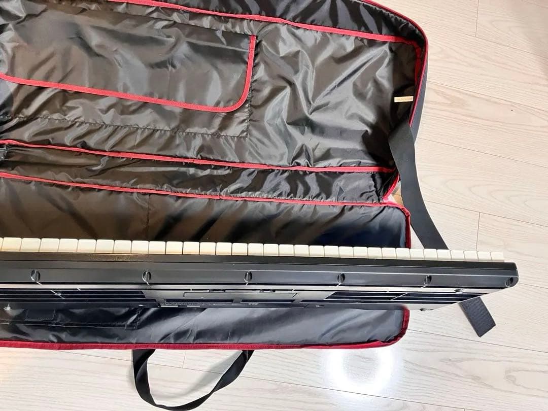 ケース/譜面台付き 美品ローランド Roland GO:PIANO GO-61P