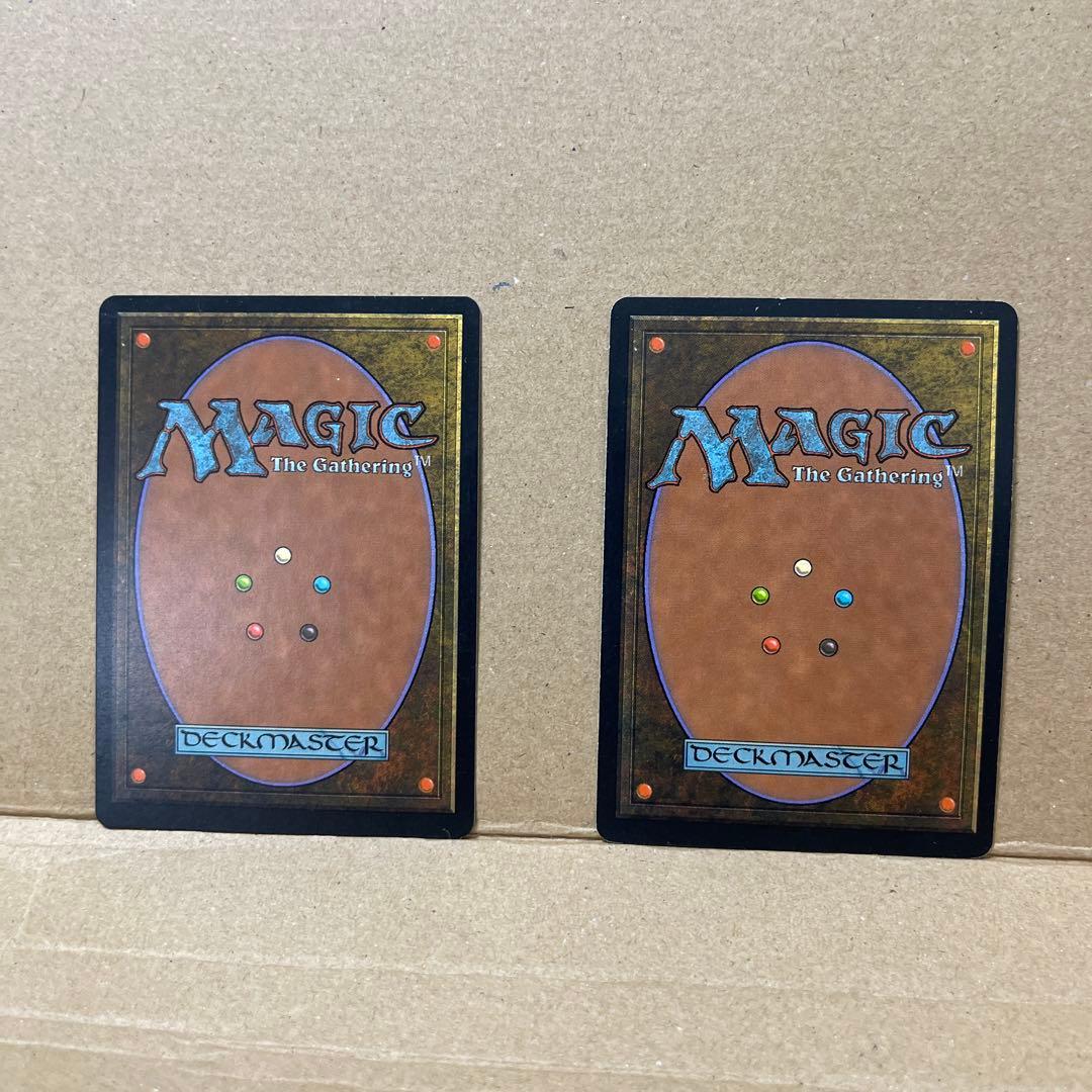 マジックザギャザリング　大地の知識(日本語) ２枚セット