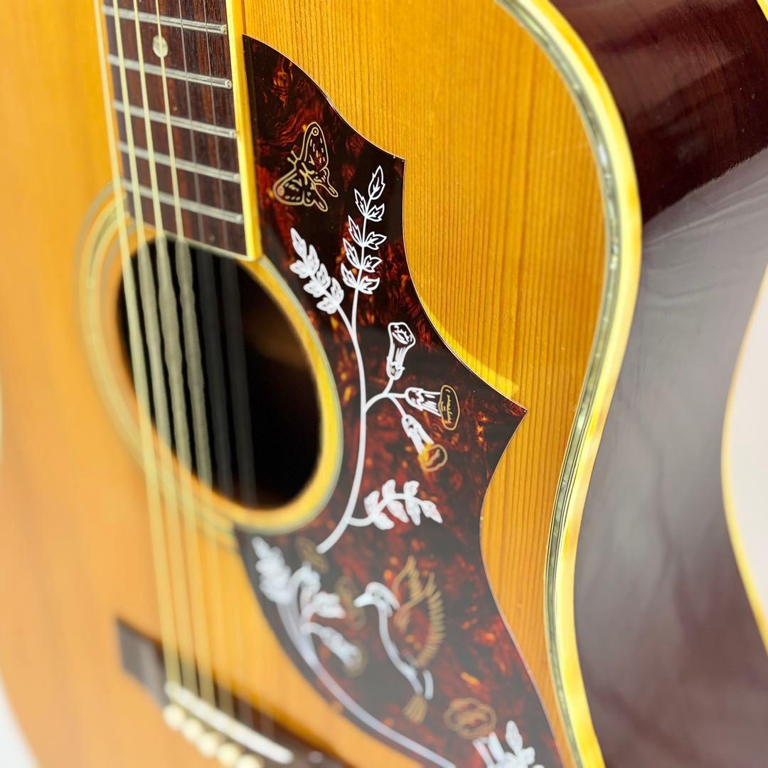 Grand Suzuki ドレッドノート MD201 JAPAN vintage