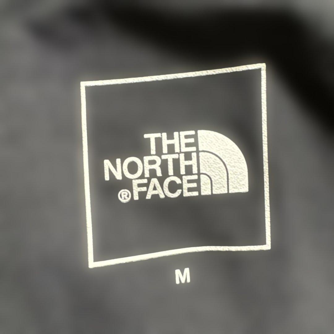 THE NORTH FACE フレックス イージーナイロンパンツ 撥水 メンズ