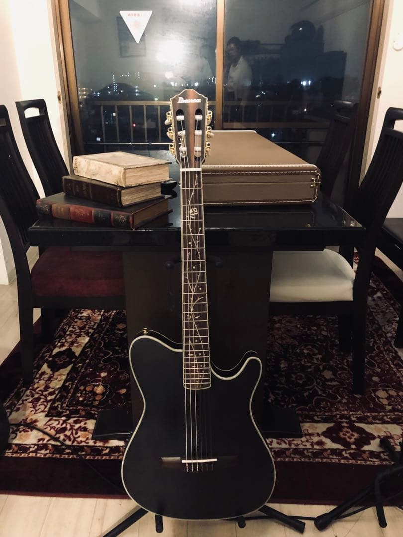 ギター ibanez tod10n