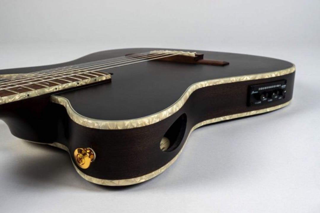 ギター ibanez tod10n