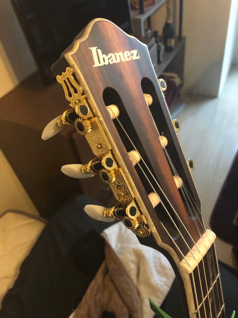 ギター ibanez tod10n