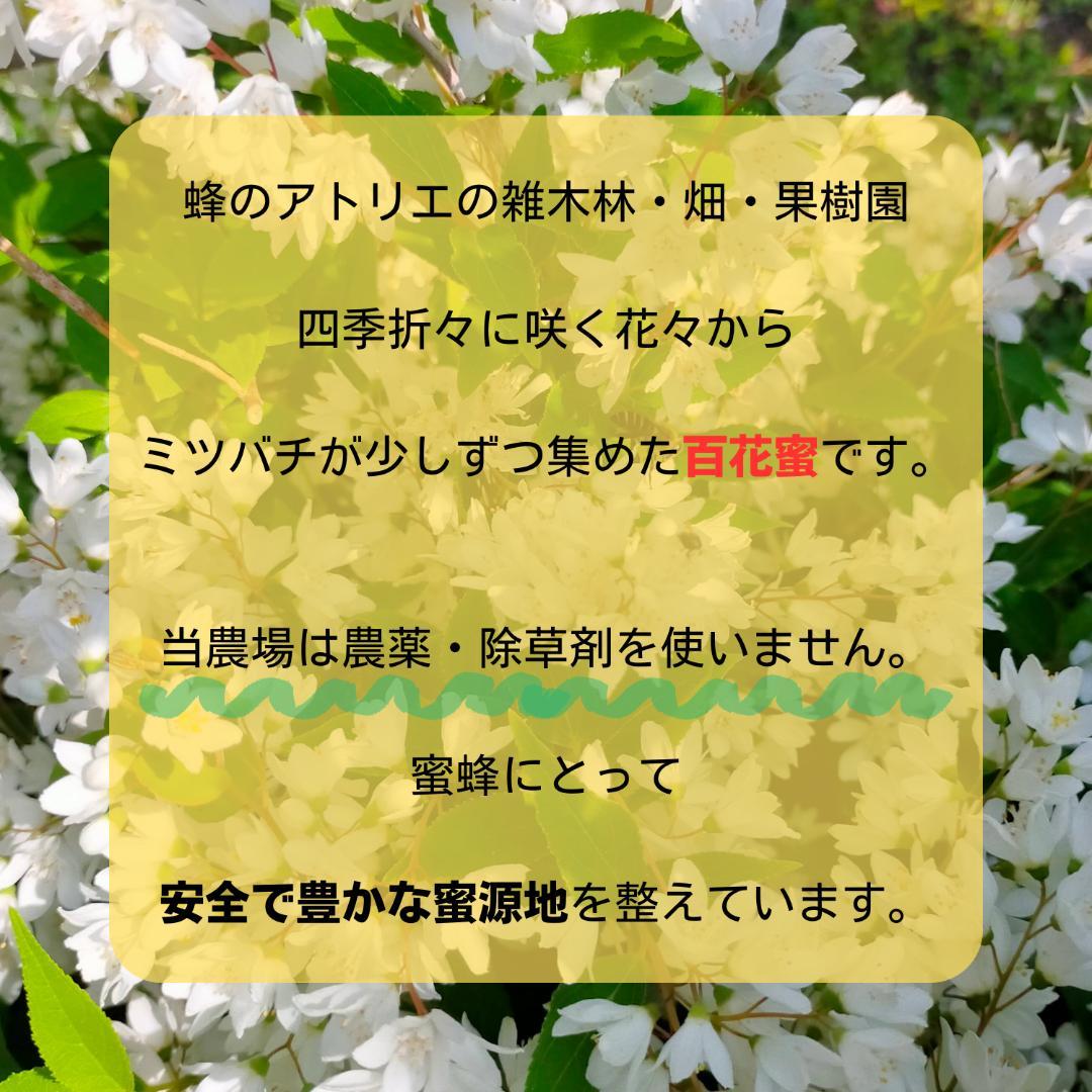 ニホンミツバチの国産百花蜜 1kg×1本　非加熱無添加天然はちみつ