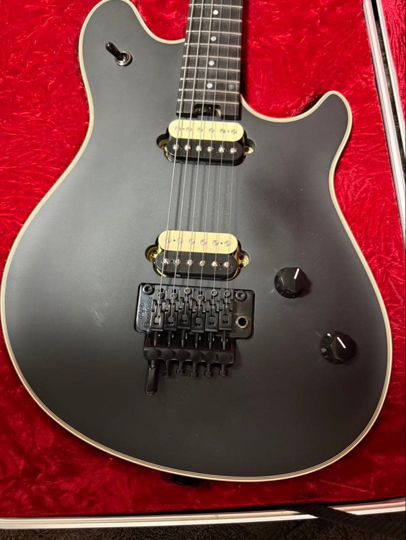 MRT　EVH Wolfgang USA SB