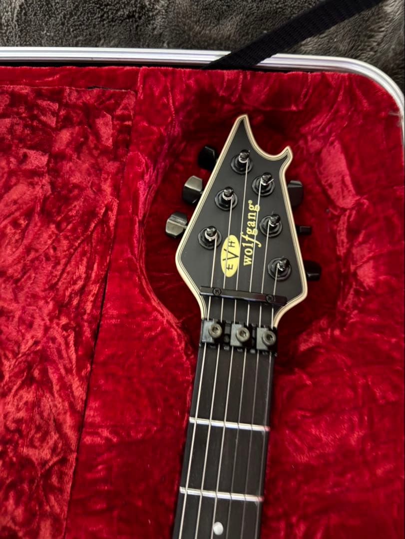 MRT　EVH Wolfgang USA SB