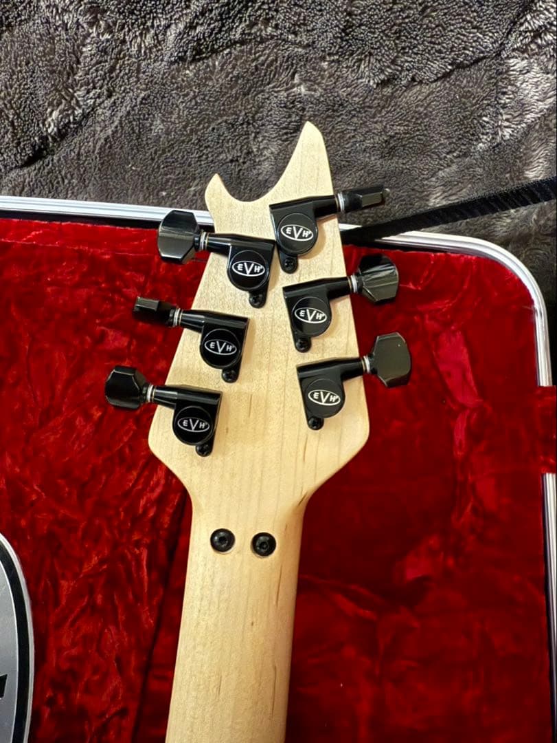 MRT　EVH Wolfgang USA SB