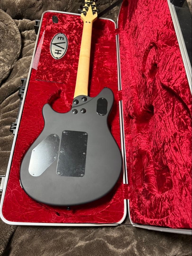 MRT　EVH Wolfgang USA SB