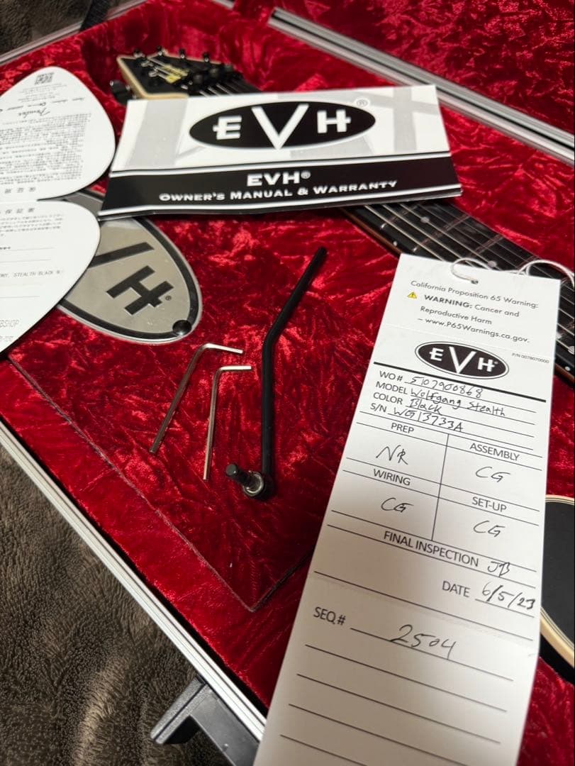 MRT　EVH Wolfgang USA SB