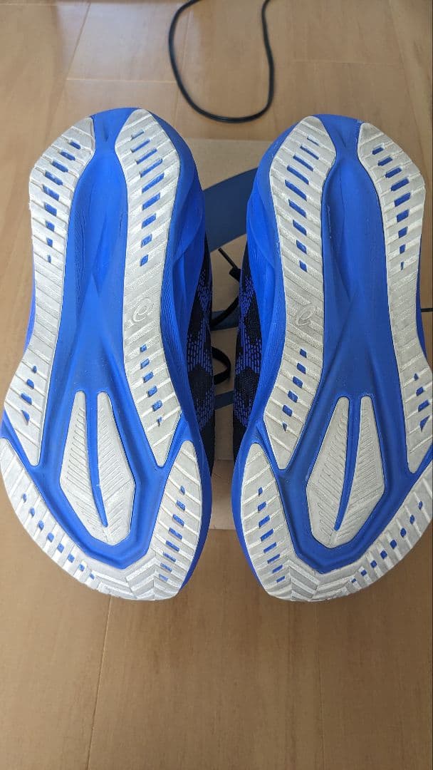 ASICS ノヴァブラスト5 NOVABLAST5 25.0cm