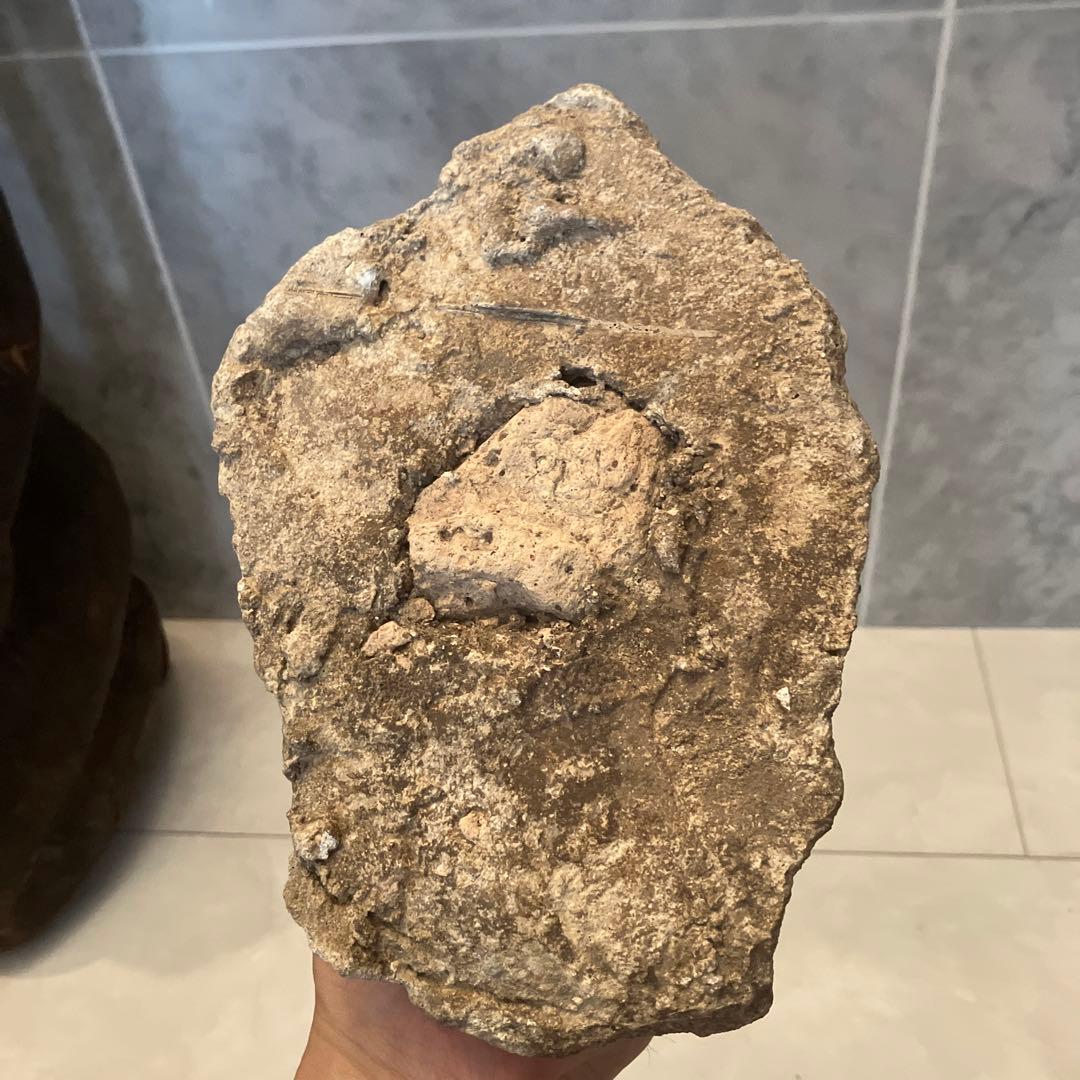 アンティーク カンボジア　クメール美術の美しいお顔立ちの仏頭