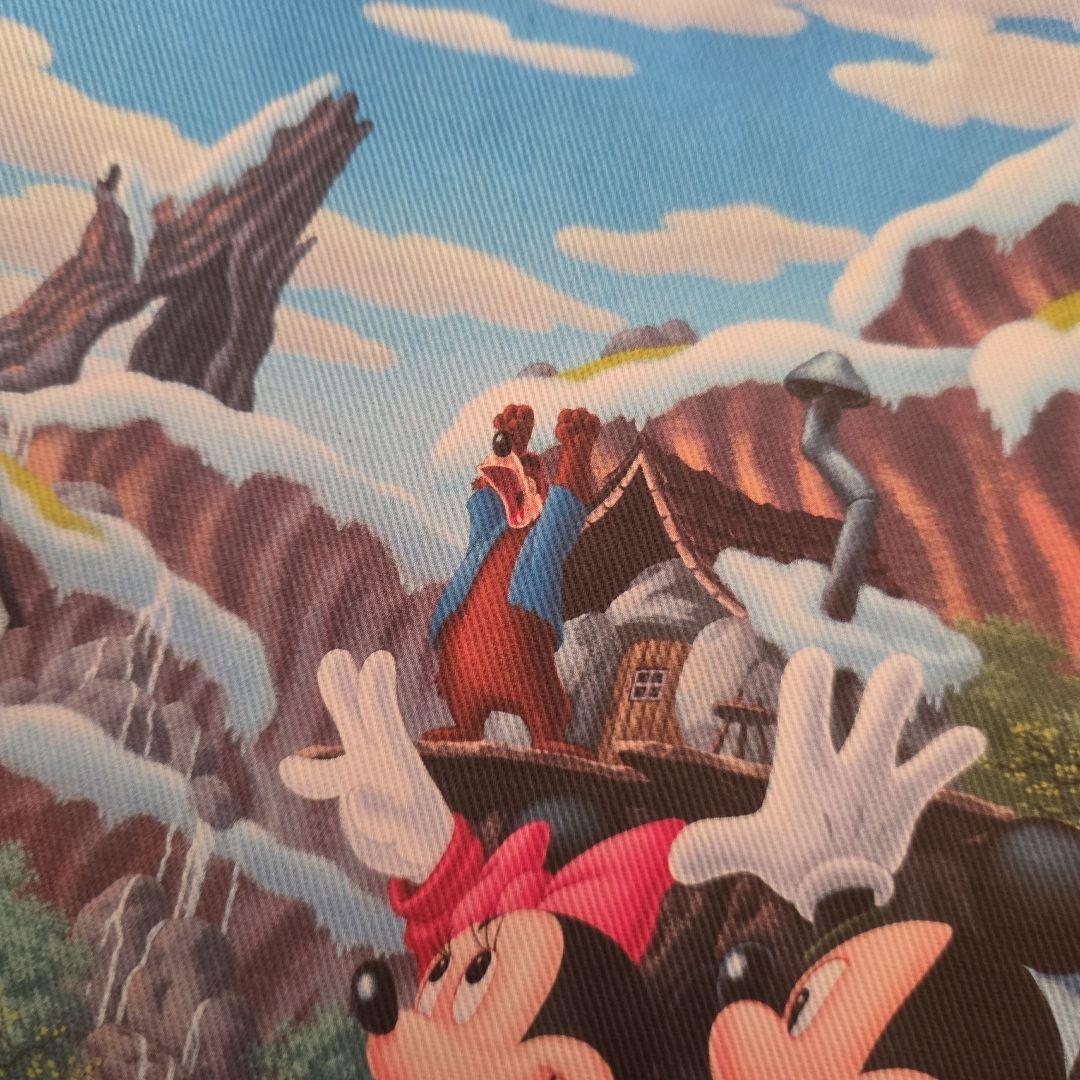ディズニー　クリッターカントリー　巾着