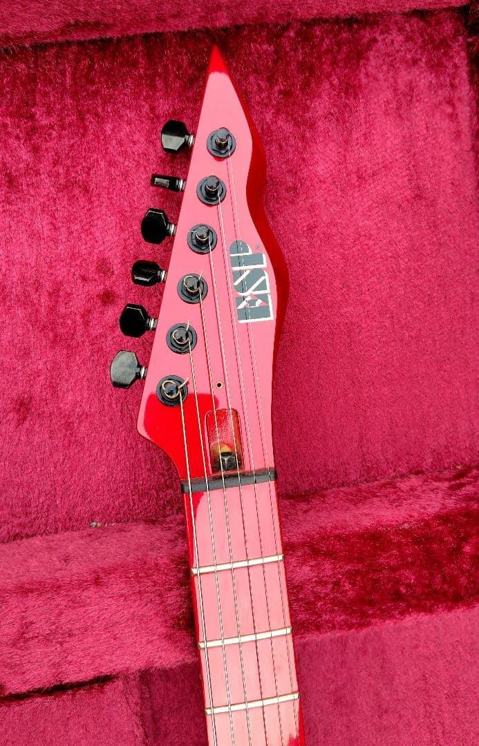 ESPordermade品　D-DRメイプル指板　DIRENGREY　DIEさん