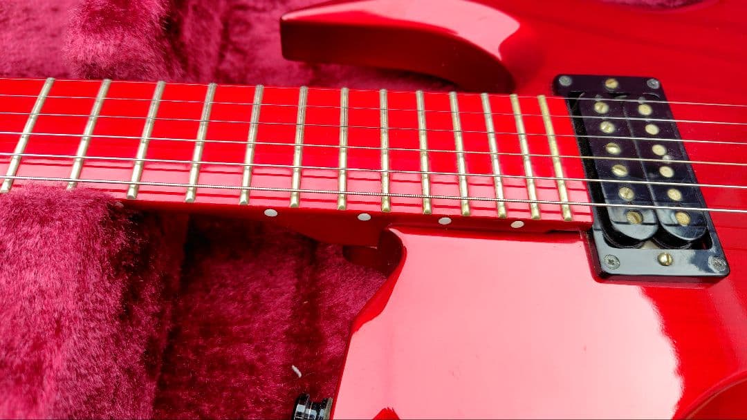 ESPordermade品　D-DRメイプル指板　DIRENGREY　DIEさん