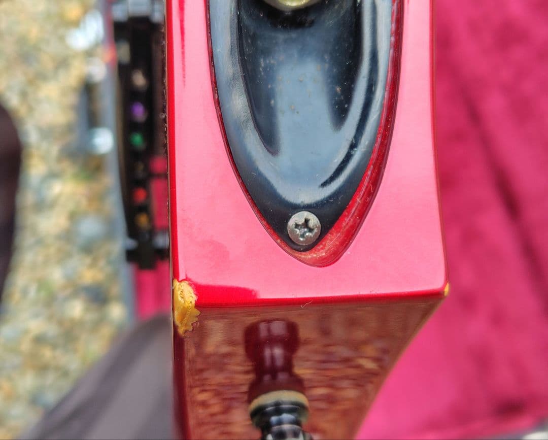 ESPordermade品　D-DRメイプル指板　DIRENGREY　DIEさん