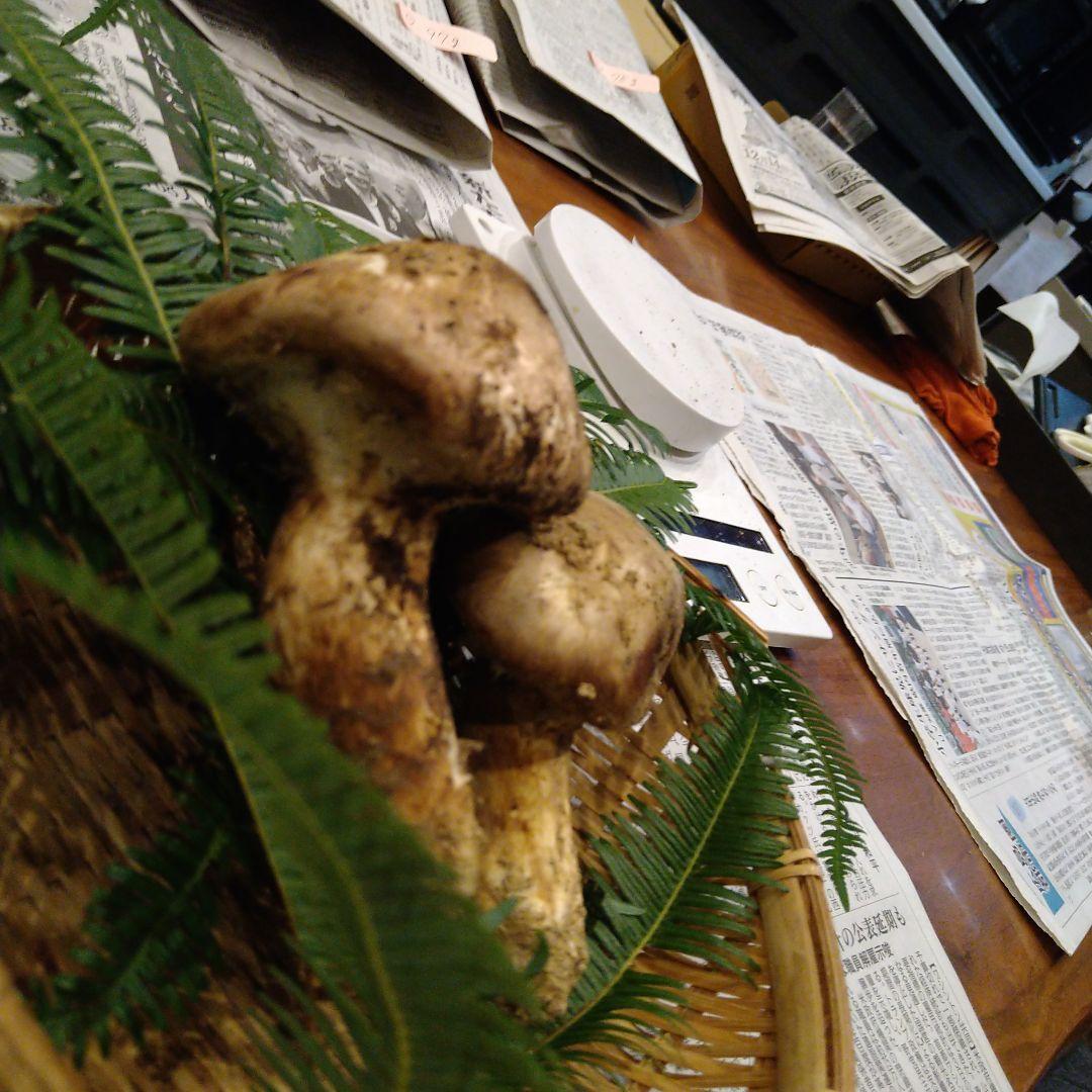 ③　広島県産　松茸