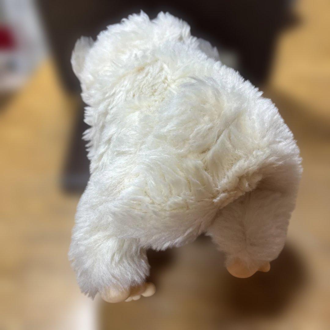 こぐまのコロタン ぬいぐるみ 昭和レトロ ファースト社　モンチッチ風