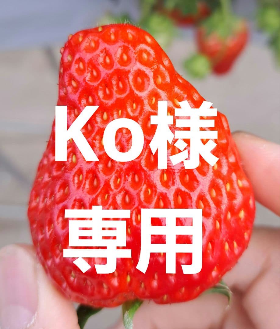 専用出品です。