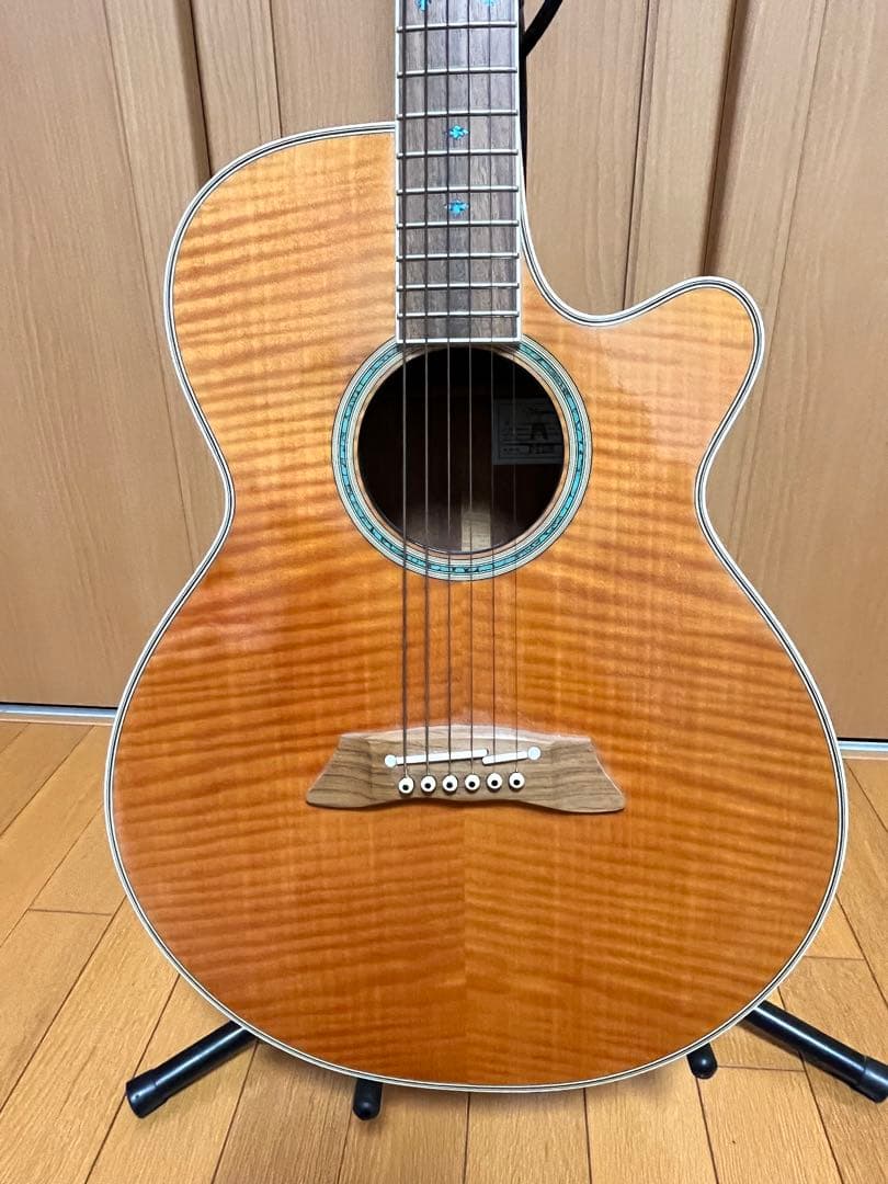 【名機】Takamine PT-108 エレアコ 純正ハードケース付き
