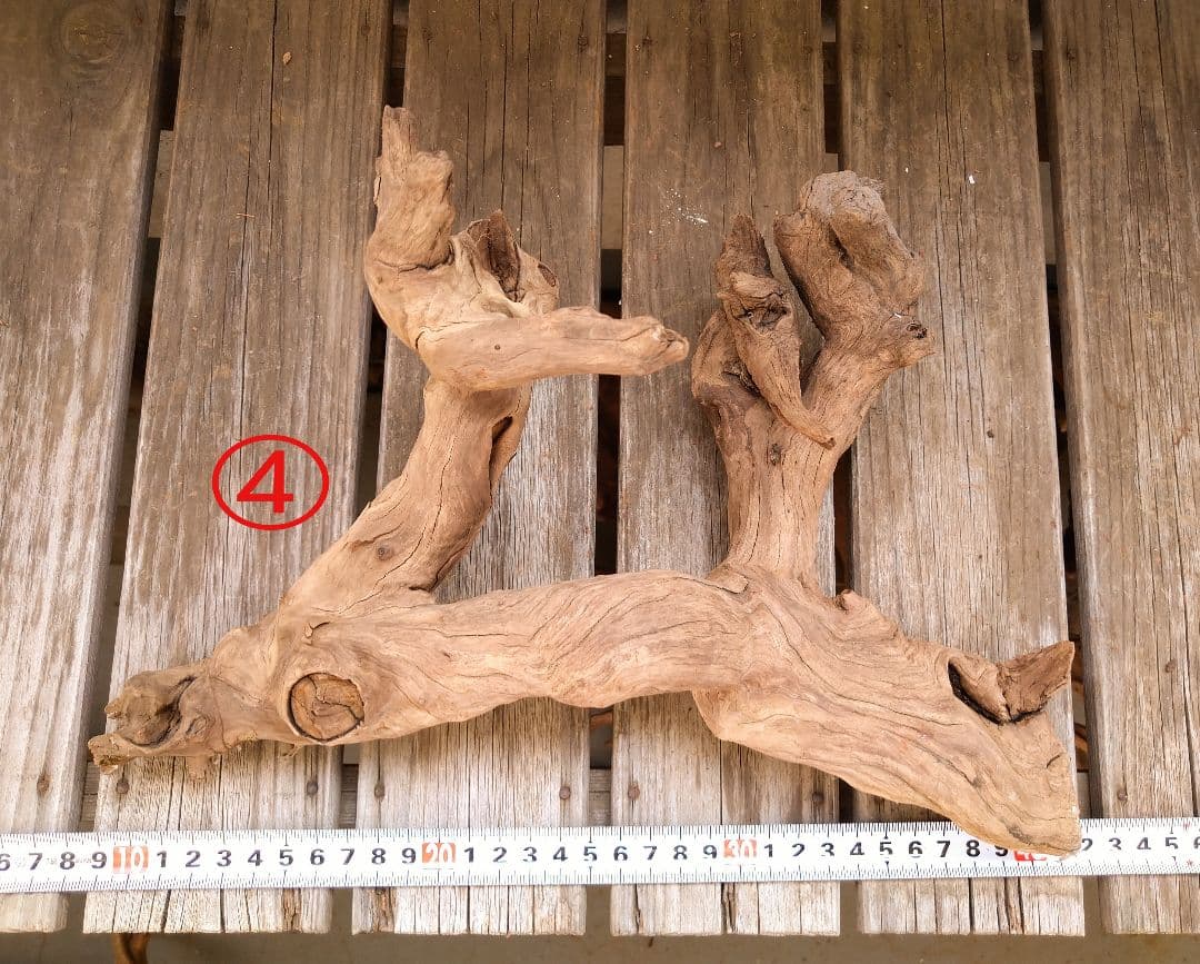 アクアリウム用品　レイアウト 良型 流木 Ｍ Ｌサイズ　７本セット