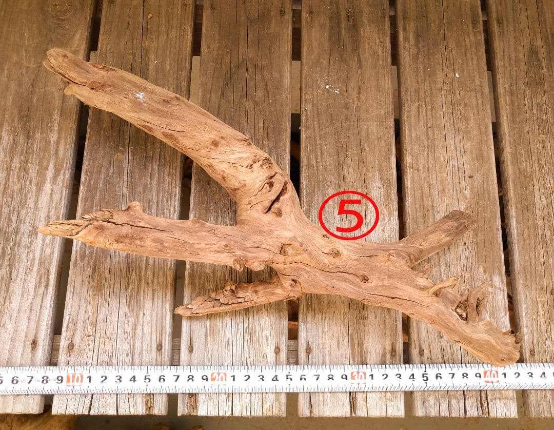 アクアリウム用品　レイアウト 良型 流木 Ｍ Ｌサイズ　７本セット