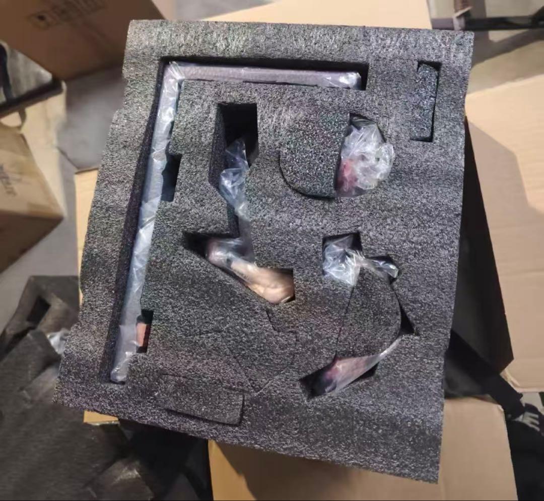 崩壊スターレイル ACG 刑務所 エリシア フィギュア ガレージキットスタチュー