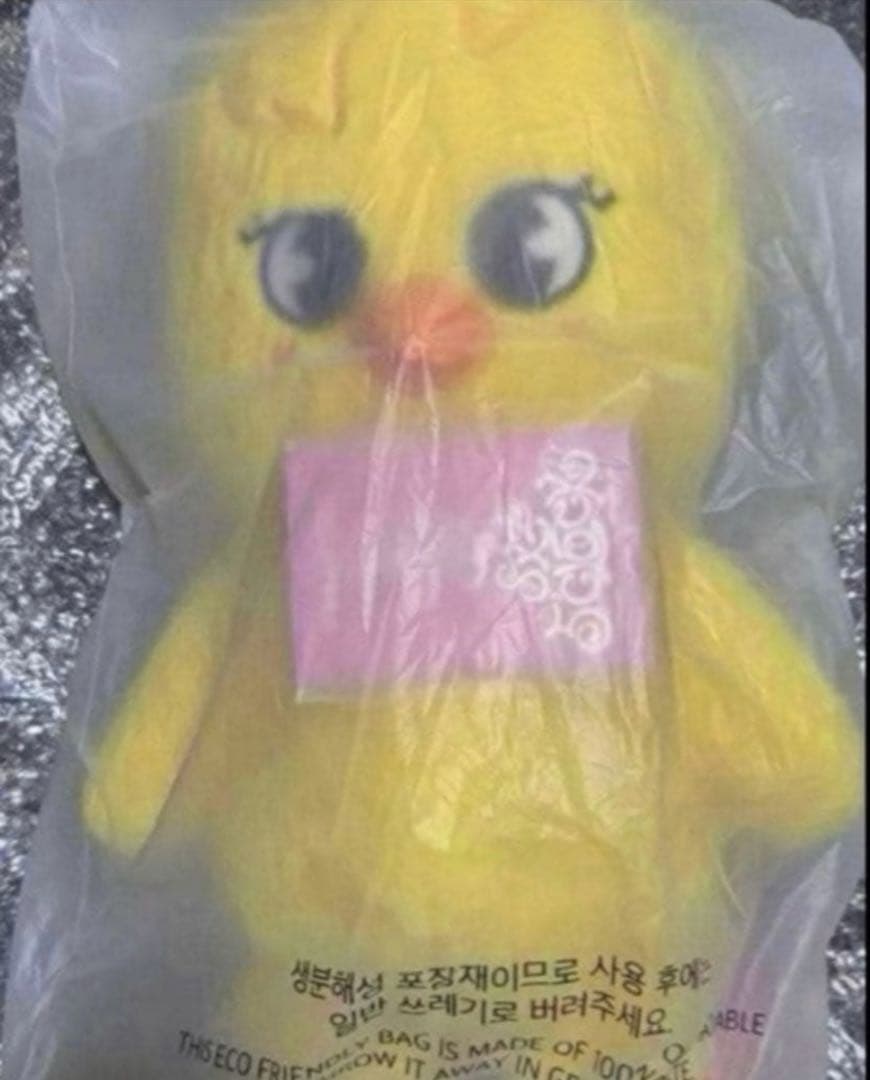 Stray Kids SKZOO PLUSH テディベア Ver.ポガリ