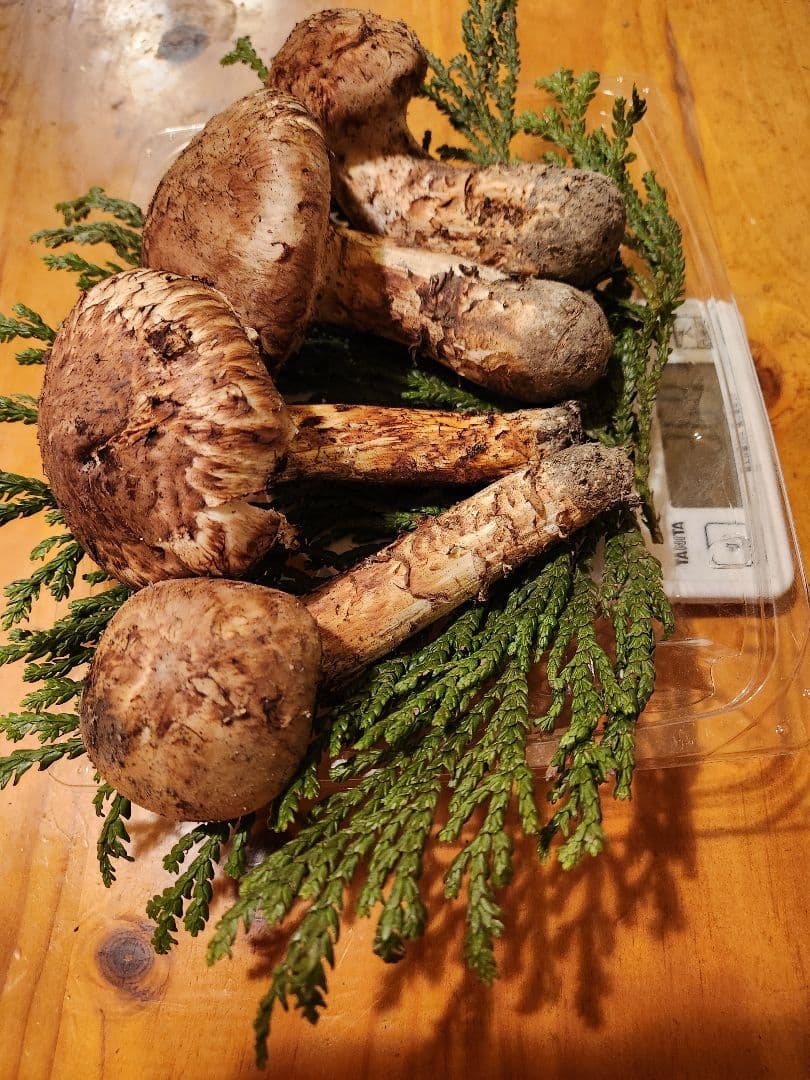 北海道産松茸　369g