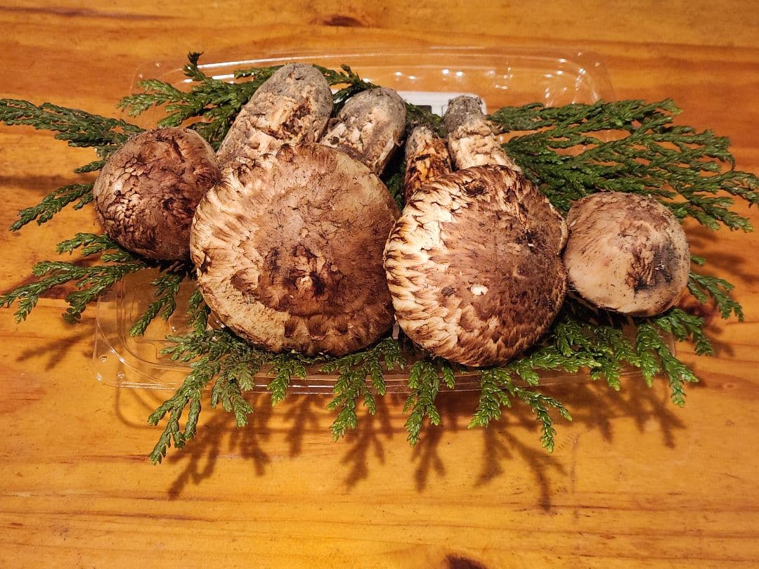 北海道産松茸　369g