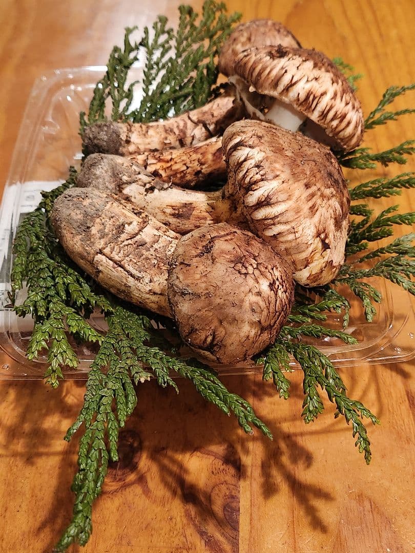 北海道産松茸　369g