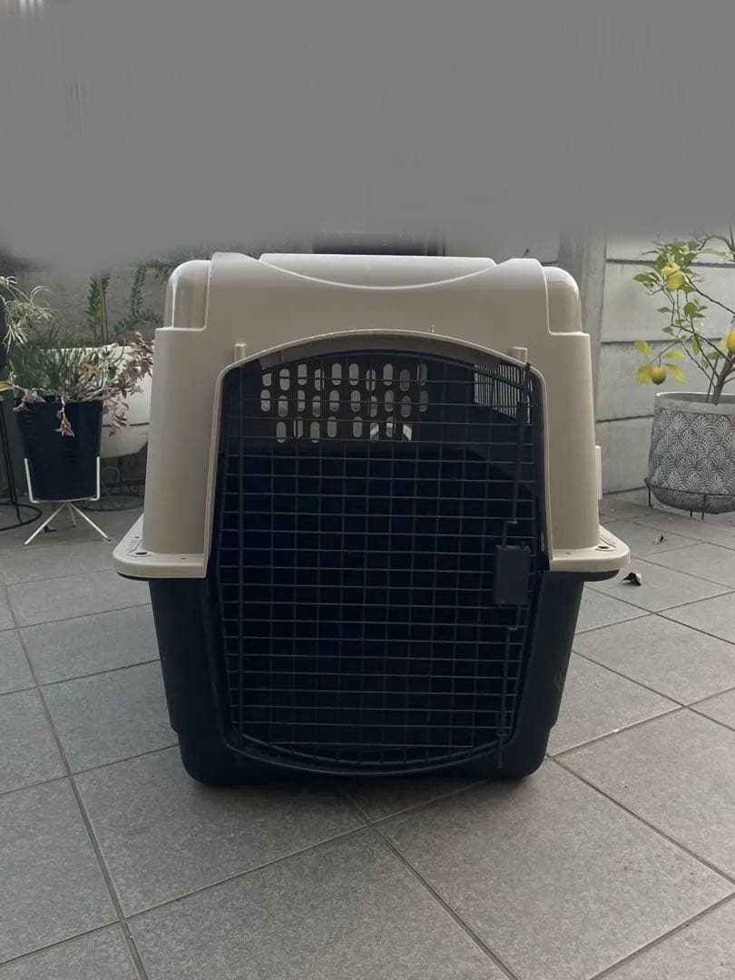 大型犬用ケージ