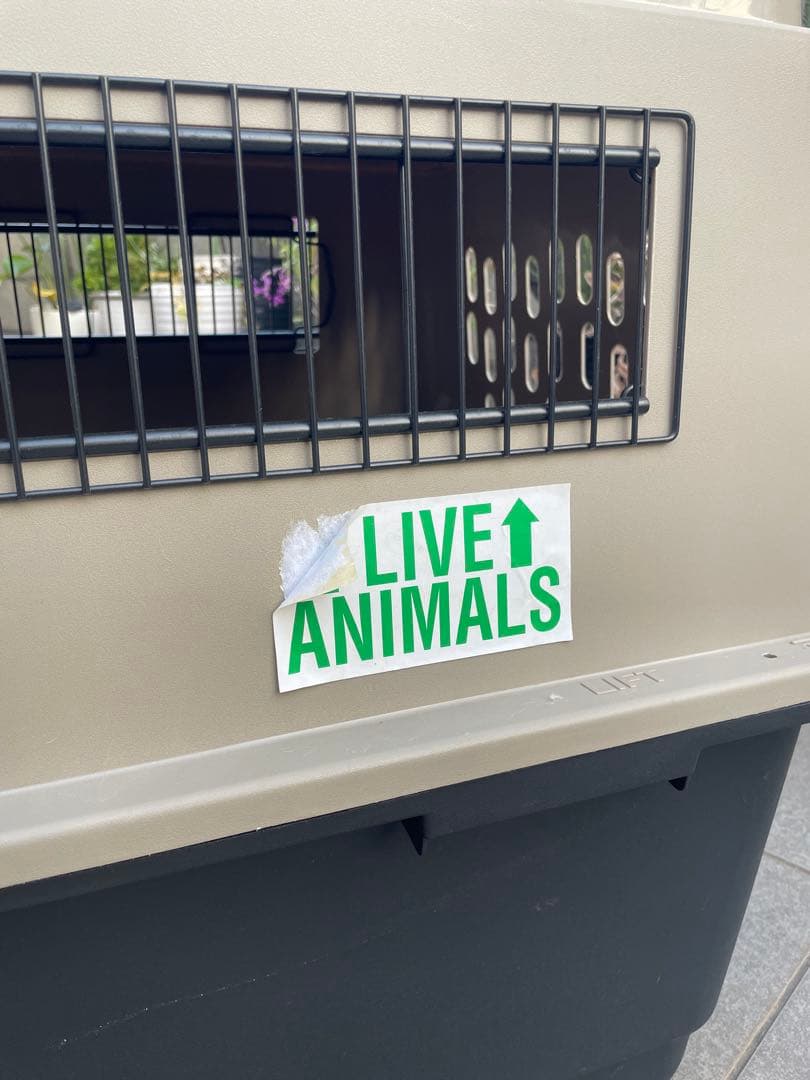 大型犬用ケージ