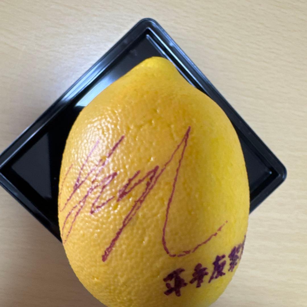 平手友梨奈 欅坂46 ザ・テレビジョン サイン入りレプリカレモン ※当選通知書付