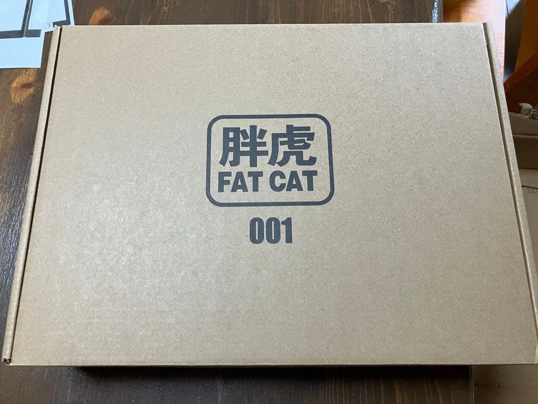 FAT CAT 1/100 RG RX-78-2 Ver.2.0 プラモデル