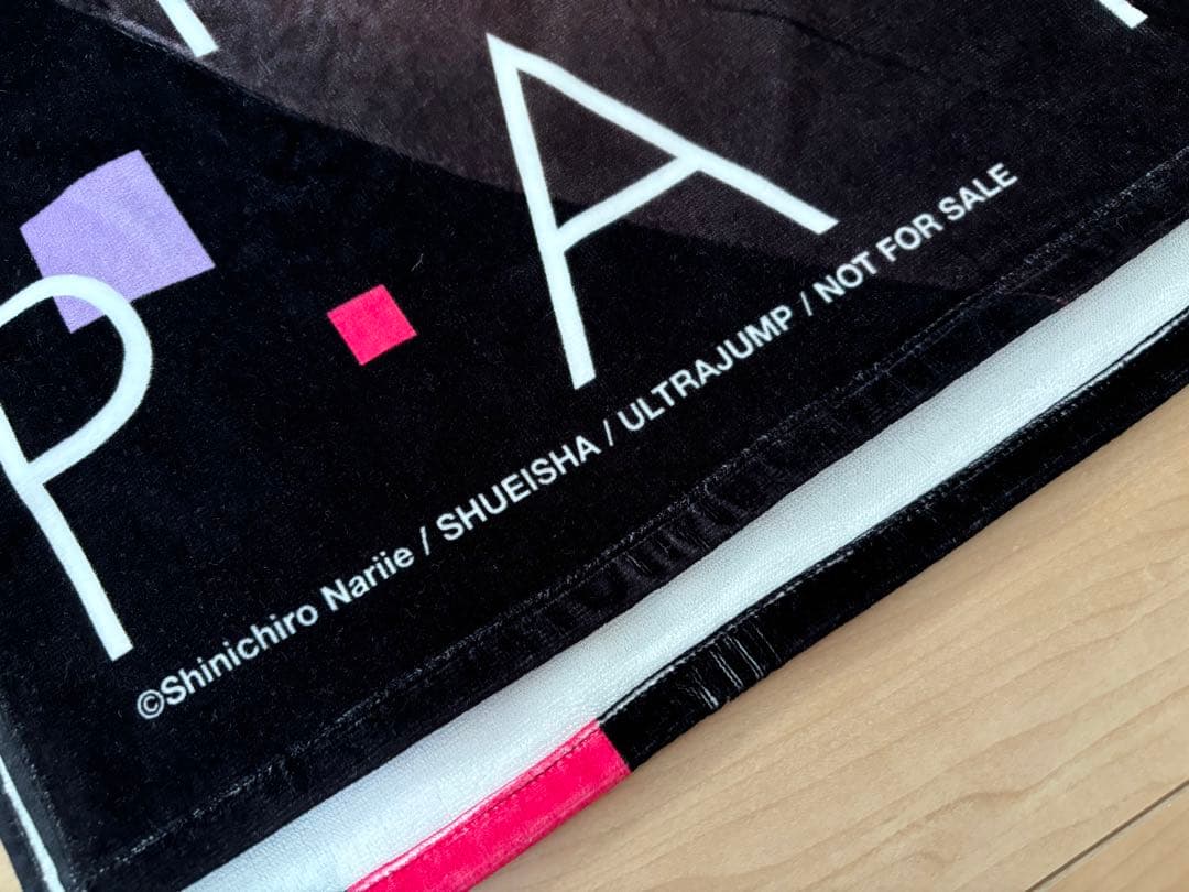 ラパス・テーマパーク 酒木田 バスタオル 非売品