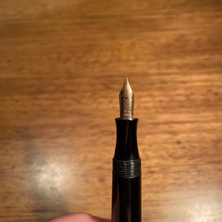 sailor セーラー 万年筆 iridium