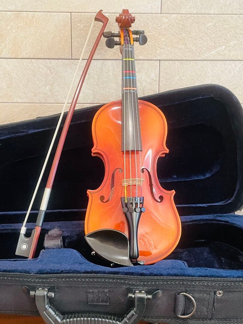 ◾️分数バイオリン 1/10◾️Hora Reghin＊ルーマニア製＊2009年製