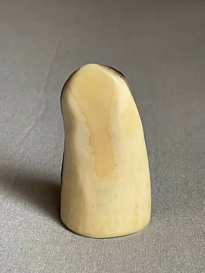 三線用　爪　鯨髭＋鯨歯　Bタイプ　最終出品分