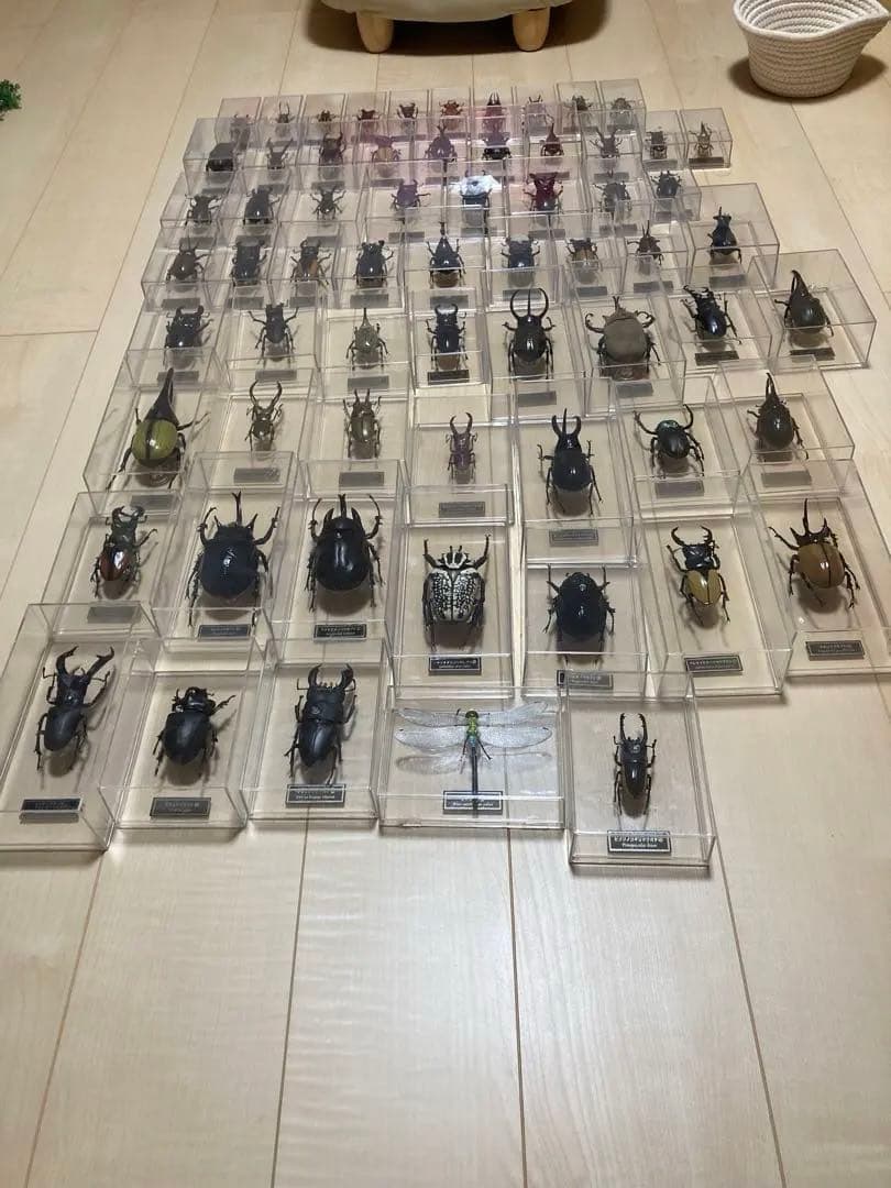 ディアゴスティーニ世界の昆虫全64種コンプリート　クワガタカブトムシ　フィギュア