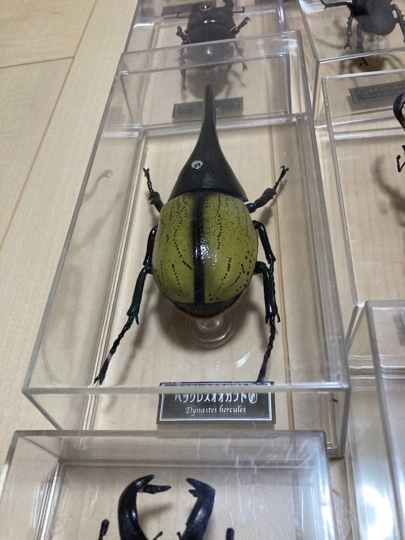 ディアゴスティーニ世界の昆虫全64種コンプリート　クワガタカブトムシ　フィギュア