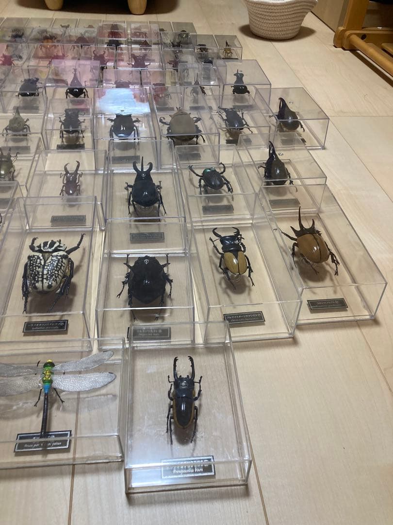 ディアゴスティーニ世界の昆虫全64種コンプリート　クワガタカブトムシ　フィギュア