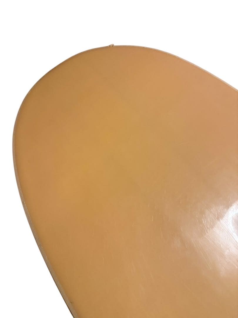 Beach Access ビーチアクセス ロング ソフトボード 8.0 73L