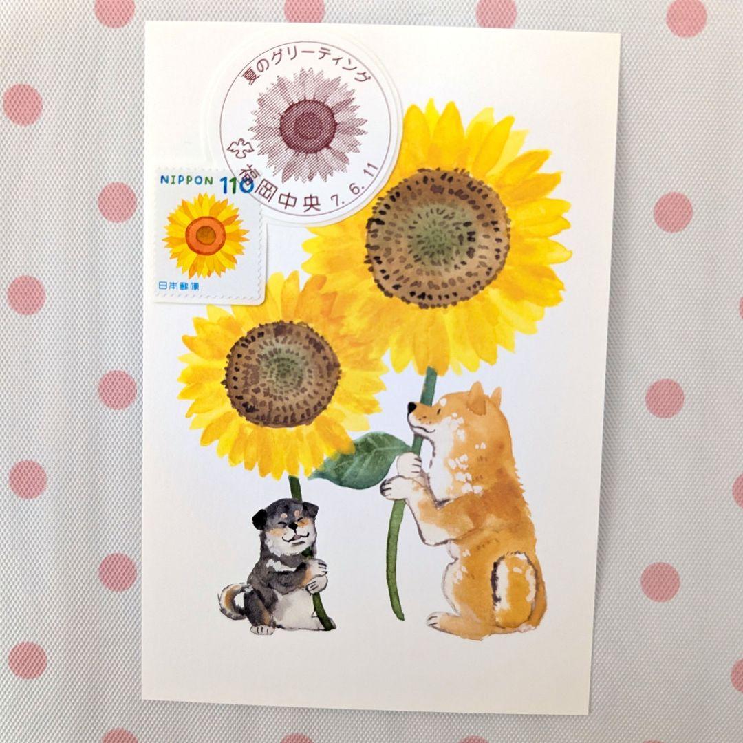 コレクション deen.like.live