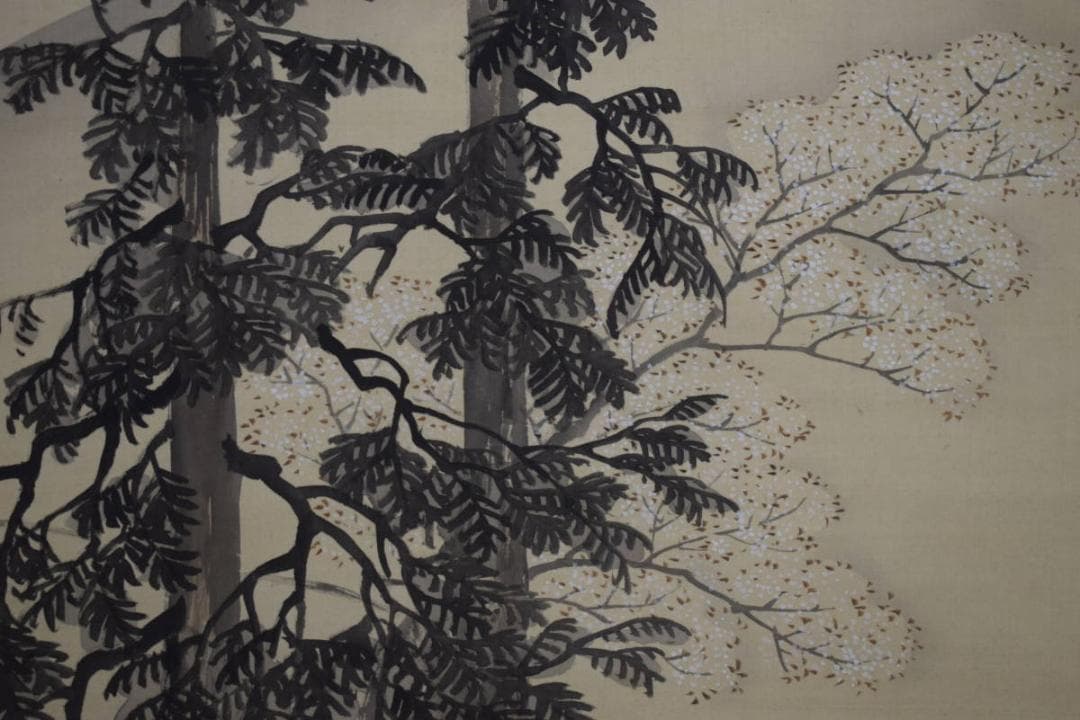 真作/前川文嶺/檜桜の図/布袋屋掛軸HH-989